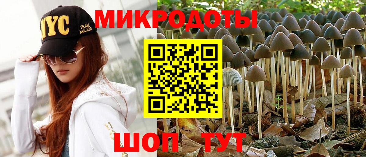 Муравленко  Галлюциногенные грибы прущие грибы  Псилоцибиновые грибы Psilocybe  Вход с VPN 